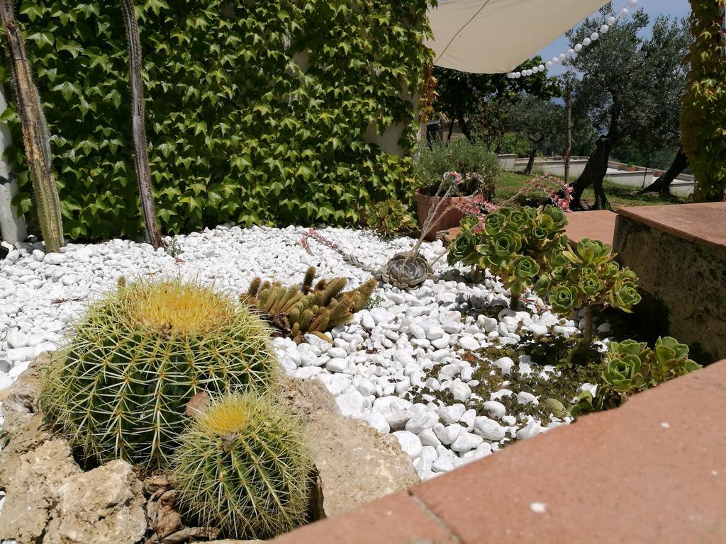 Villa Rosaria Vasto Extérieur photo