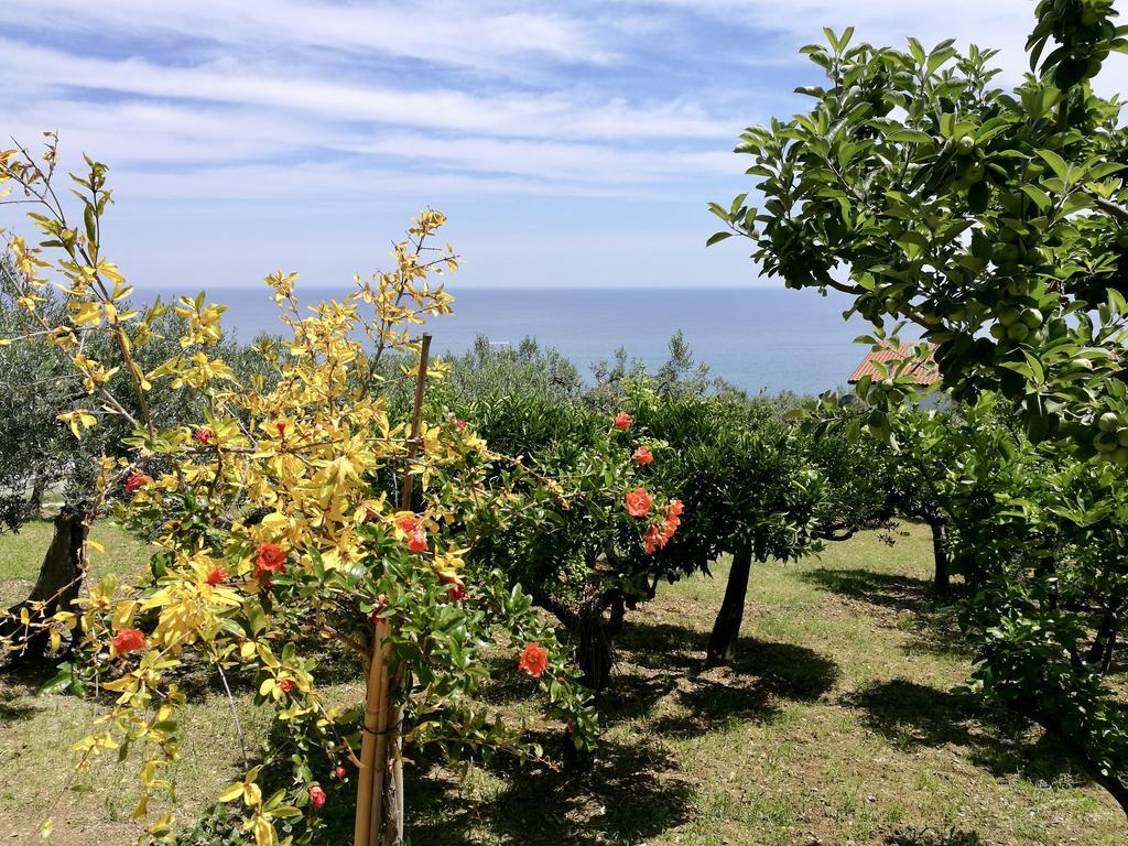 Villa Rosaria Vasto Extérieur photo